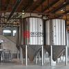 10BBL 사용자 정의 상업 사용 맥주 발효 양조장 장비 스테인레스 스틸 발효 탱크