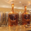 300L Brewpub / 레스토랑은 구리 양조장 장비 완전한 가정 맥주 양조 장비를 사용했습니다
