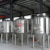 10BBL 발효기 장비 맥주 양조 기계 더블 재킷 Unitank CCT Brewpub 제조 업체